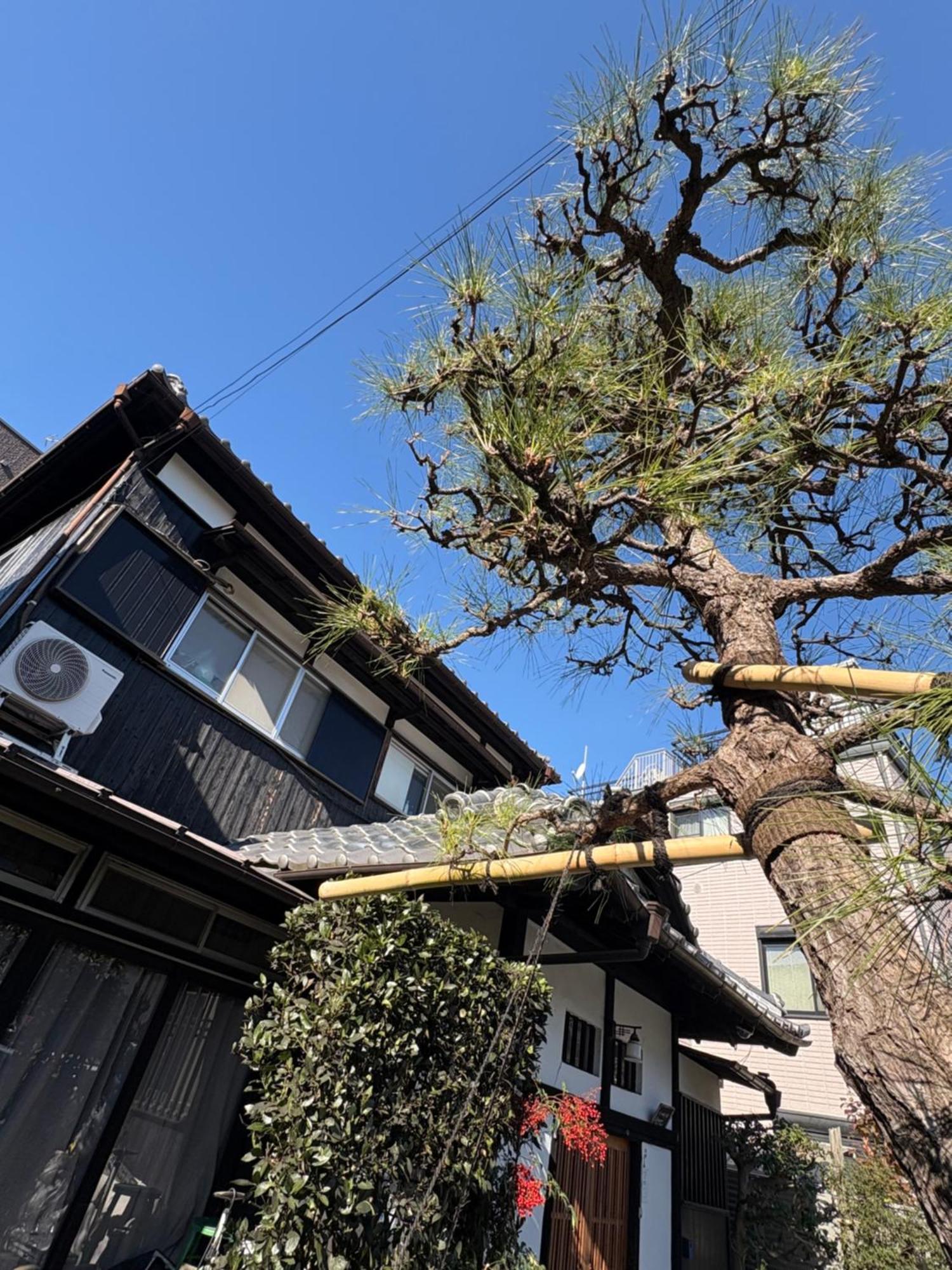Kitazawa Cozy House Affittacamere Tokyo